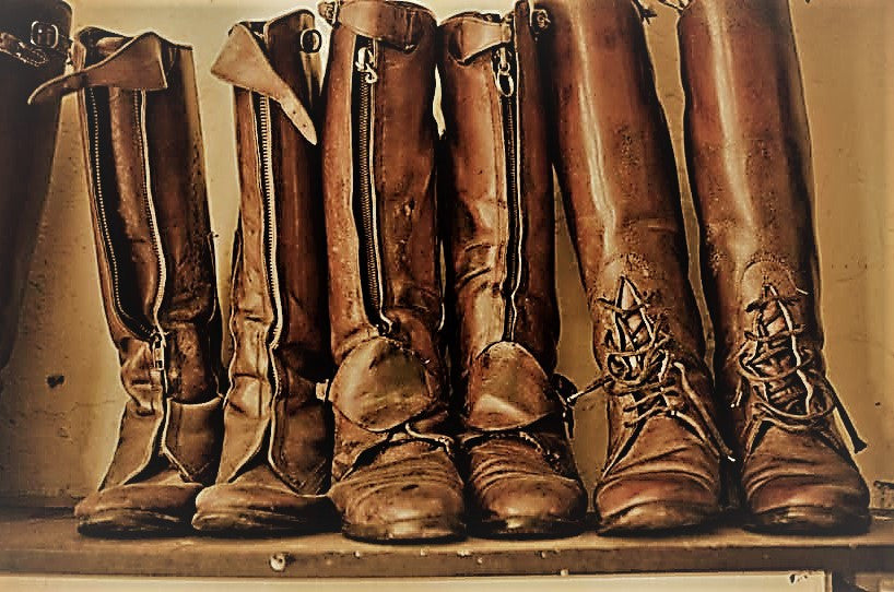 Old style polo boots Clearance